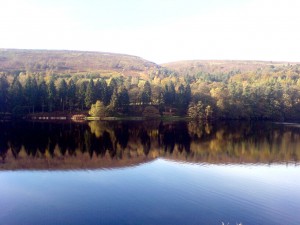 Reflection